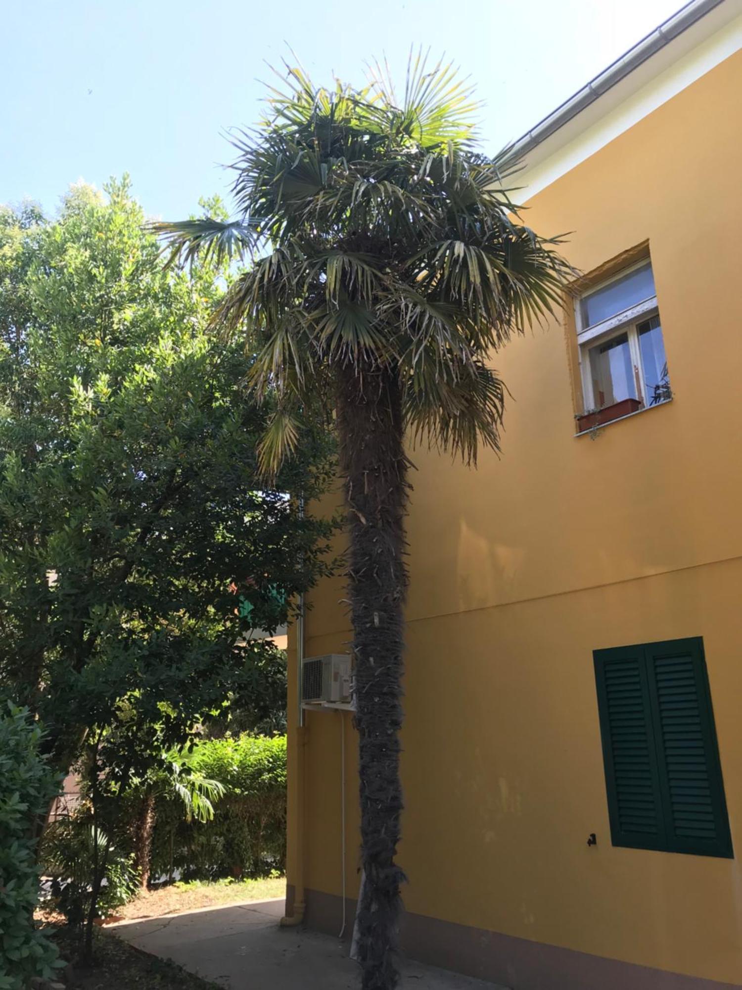Sun Apartmán *